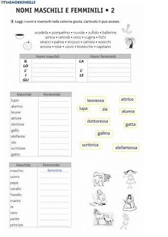 Nomi maschili e femminili 2