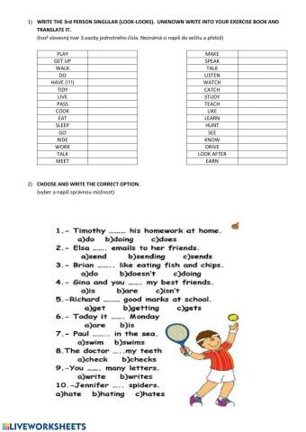 Present Simple Tense