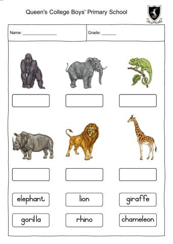 Wild animals - drag and drop