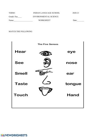 Sense organs