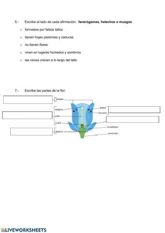 Clases de plantas y reproducción