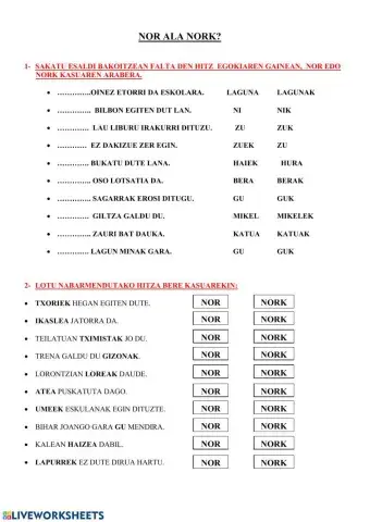 Nor edo nork aukeratzeko ariketa