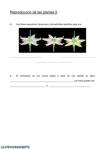 Reproducción de las plantas II