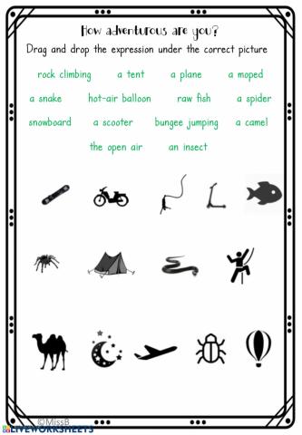 Adventure activities vocabulary