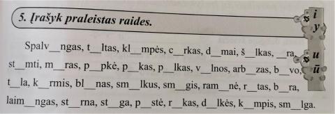 Įrašyk praleistas raides ( i- y, u - ū )