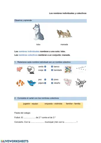nombres individuales y colectivos