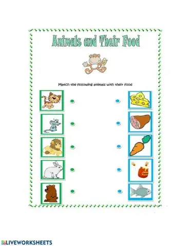 Animal and their food