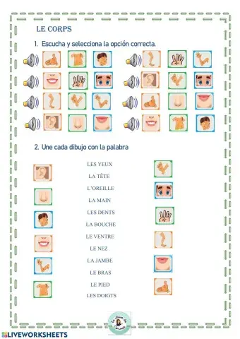 Les parties du corps I