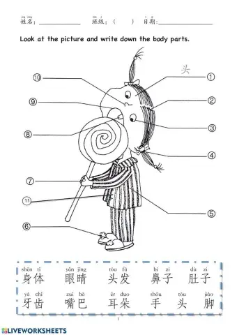 Y5 Int 第三课《他生病了》身体部位