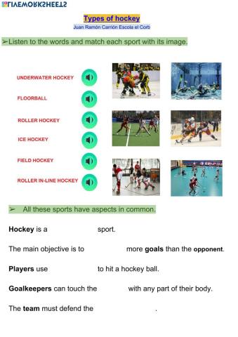 Types of hockey