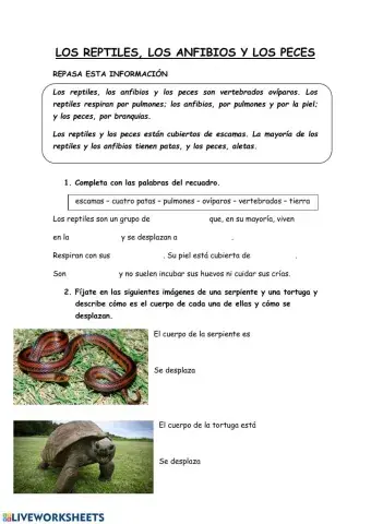 Reptiles, anfibios y peces
