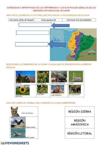 Diversidad de flora y fauna de Ecuador