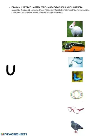 U-z hasten diren argazkiak