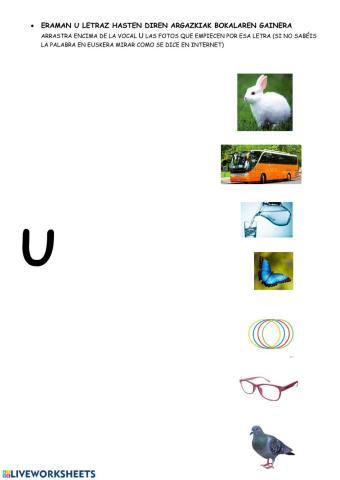 U-z hasten diren argazkiak