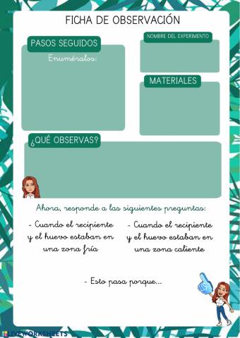 Registro de un experimento