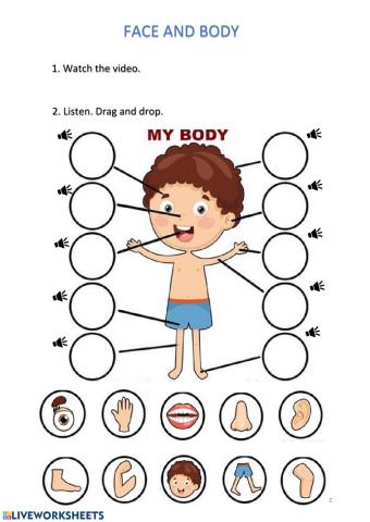 Face and body vocabulary