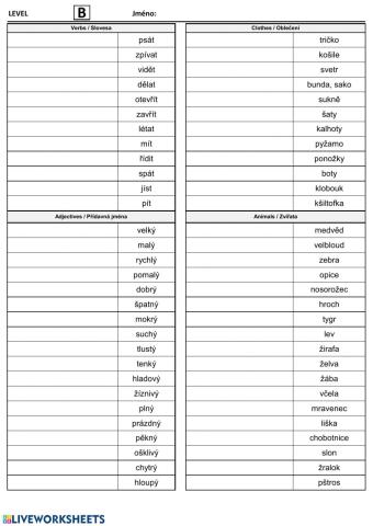 Level B - vocabulary str. 2