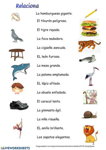 Relación entre sustantivo y adjetivo.