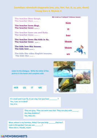 Young Stars 4, Module 4