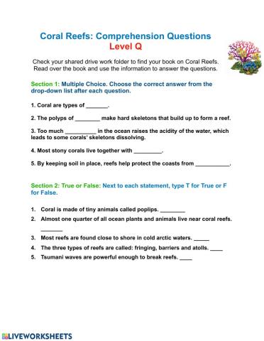 Coral Reef Comprehension Questions