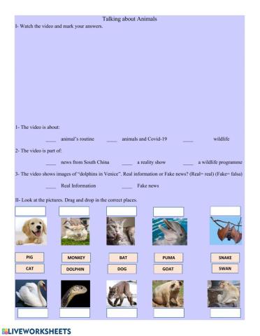 Talking about Animals