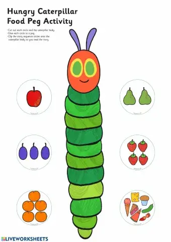 The very hungry caterpillar