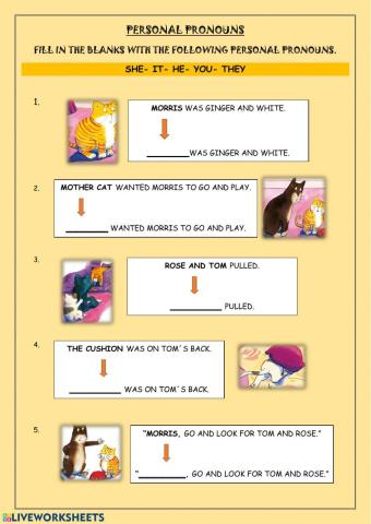 Personal Pronouns + Morris Plays Hide and Seek