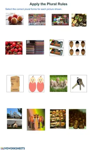 Singular and Plural Noun