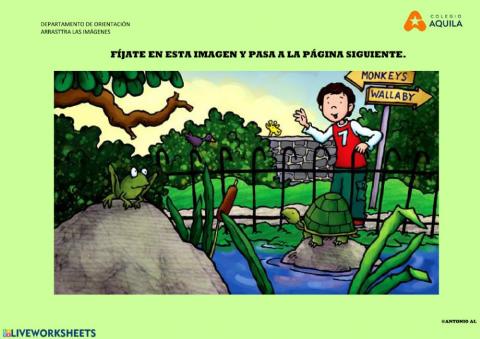 Arrastra la simágenes