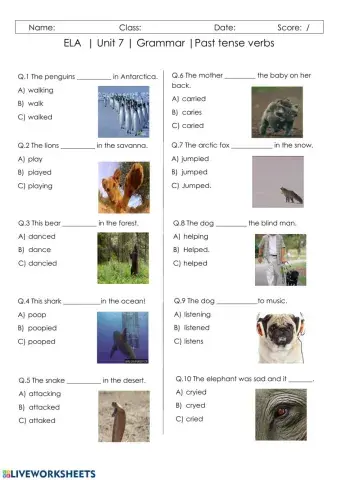 Unit 7 - Grammar: Past Tense