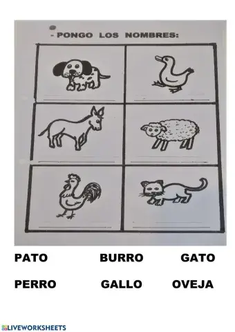 Animales domésticos