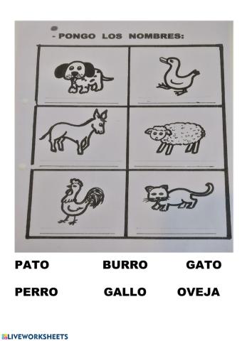 Animales domésticos