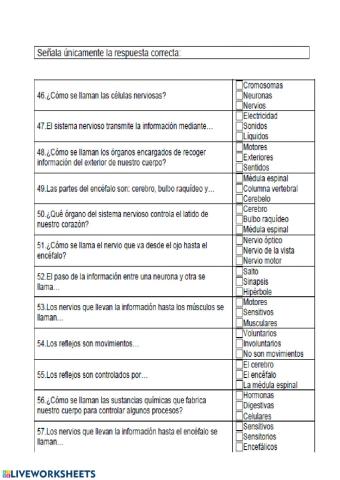 Los aparatos del cuerpo humano 3