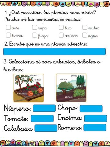 Repaso de plantas 1º