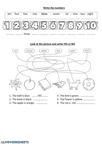 Revision - colours and numbers