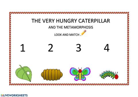 The very hungry caterpillar