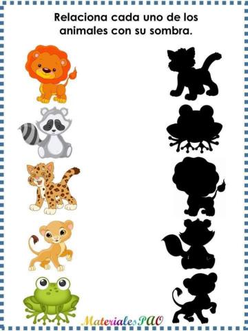 Une cada animal con su sombra