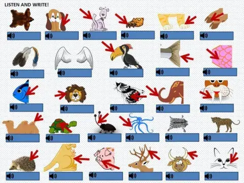 Animal body parts (listening and writing)