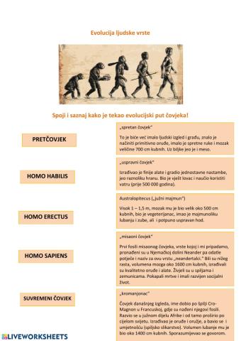 Evolucija ljudske vrste