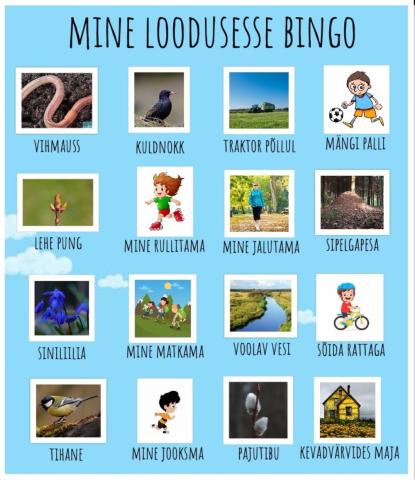 Looduse ja liikumise bingo