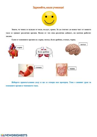 Органи на човешкото тяло