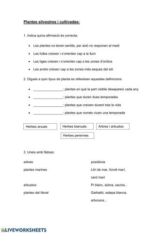 Plantes silvestres i cultivades