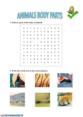 Parts of the body (animals)