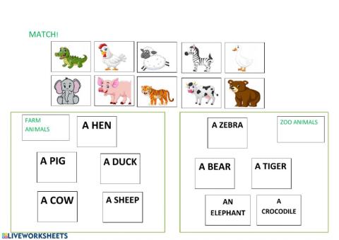 Farm and zoo animals