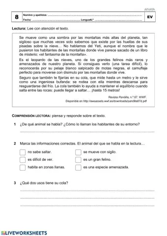 Examen Tema 8