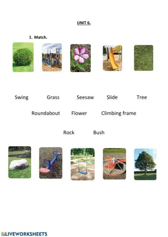 Unit 6 Test A day in the park 1º