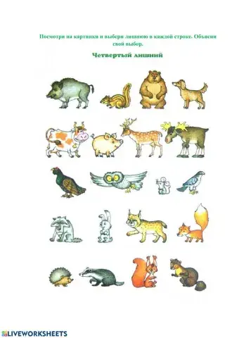 Четвертый лишний