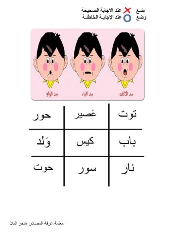 أنواع المدود