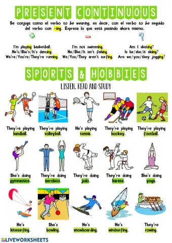Sports and hobbies 1