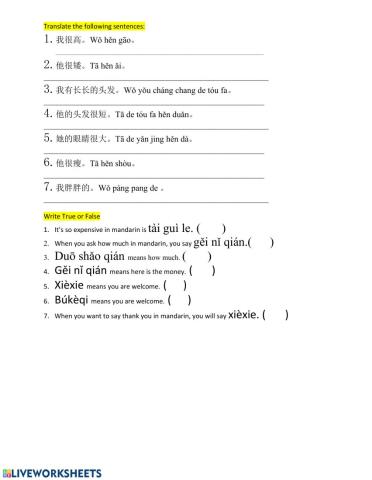 Mandarin work sheet